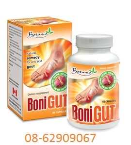 Bán Sản phẩm BONI GOUT-của Canada- chữa bệnh Gout tốt-