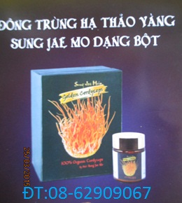 Đông Trùng Hạ Thảo-Sử dụng tăng đề kháng, Phòng ung thư, tốt sức khỏe