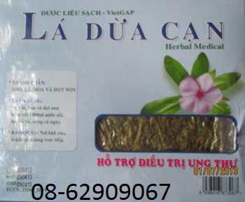 Bán sản phẩm trà Lá dừa cạn- Hỗ trợ điều trị ung thư tốt